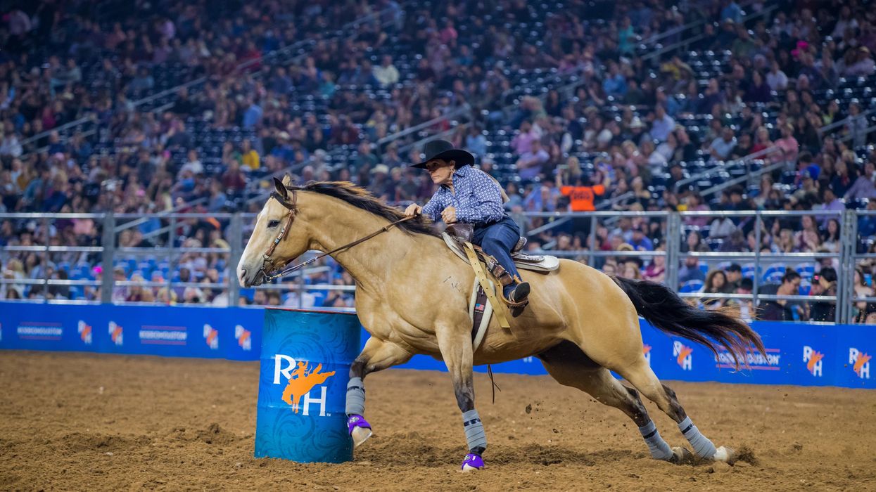 Houston Livestock Show and Rodeo Will Be Held in May 2021 Houston