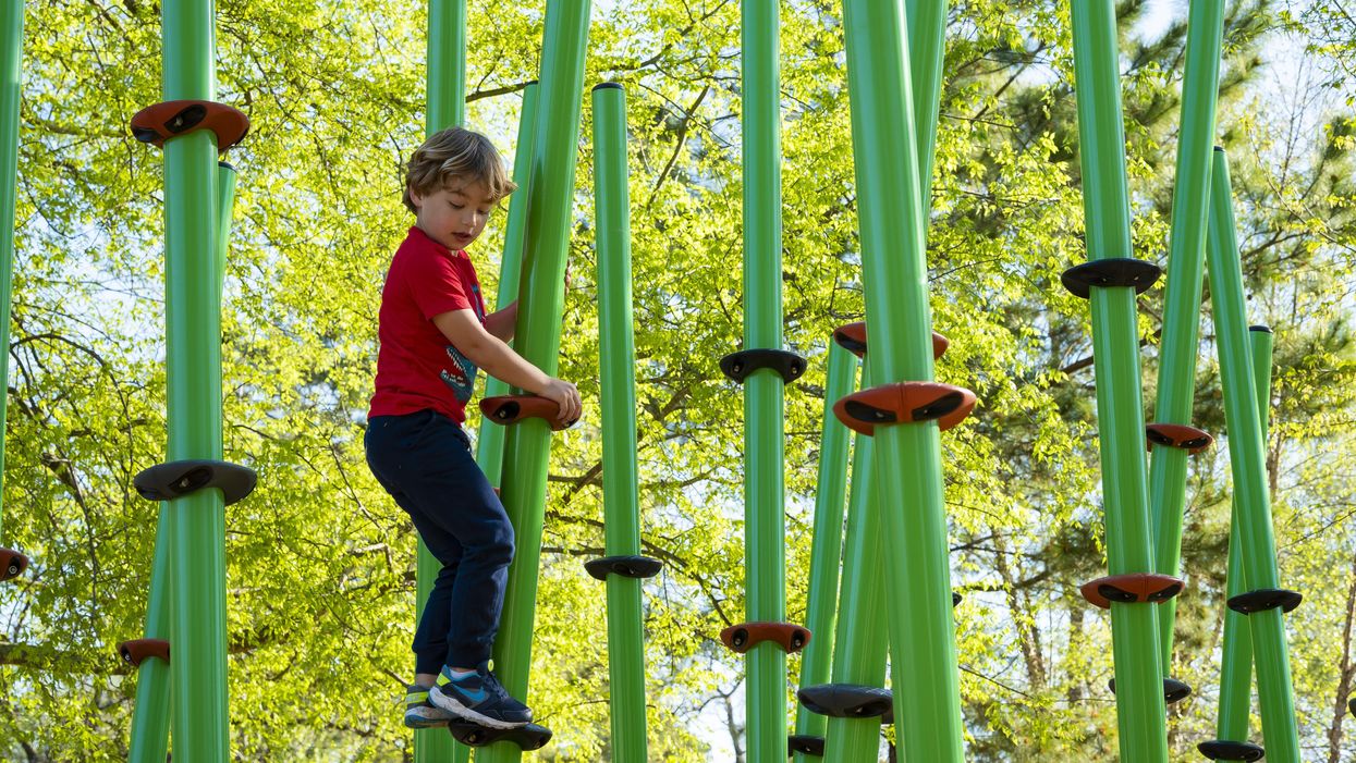 Just in Time for Summer Fun, Arboretum ‘Nature Playscape’ Now Open