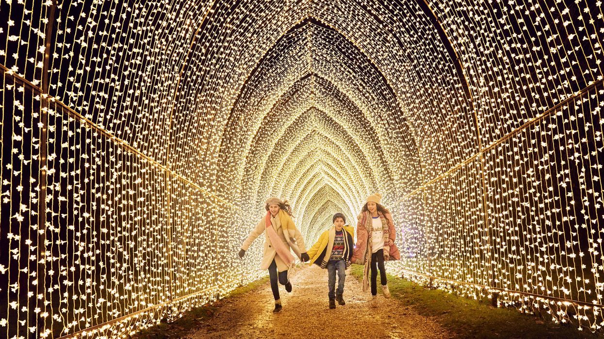 Famous Light Installation to Take Over Houston Botanic Garden for the Holidays, Tix Already on Sale
