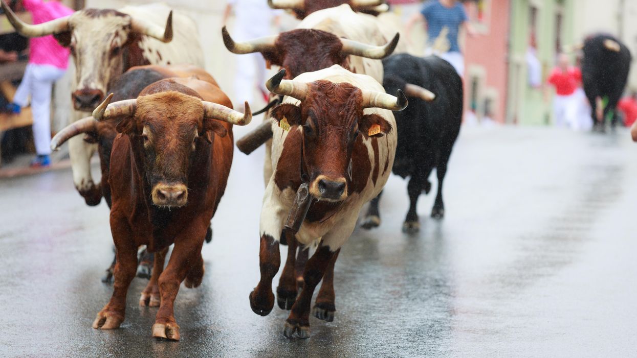 Get off the Sidewalk, and Run with the Bulls — and Life Itself — in the Middle of the Street!