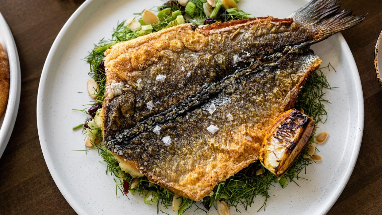 Tel Aviv Vibes: Inside Rice Village’s Brightly Modern New Hamsa