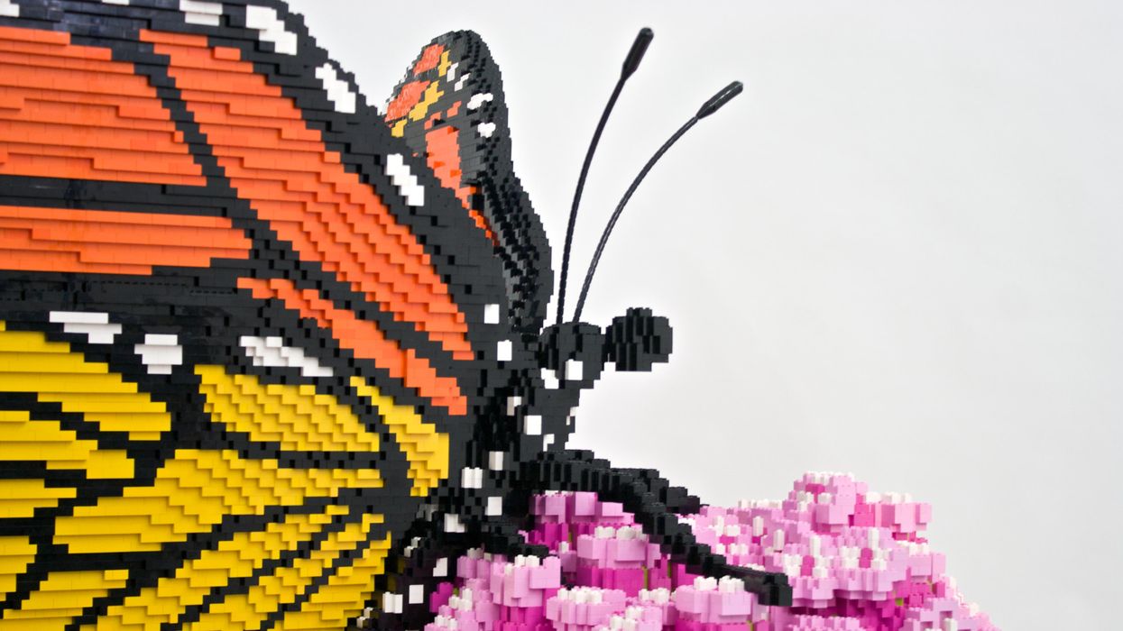 Colossal Lifelike Lego Sculptures Bloom at Houston Botanic Garden