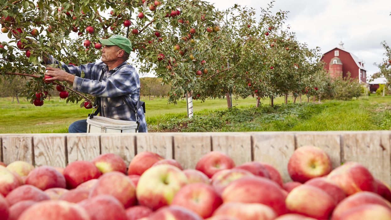 Wisconsin’s Door County Beckons Heat-Weary Houstonians with Real Fall Foliage and Food