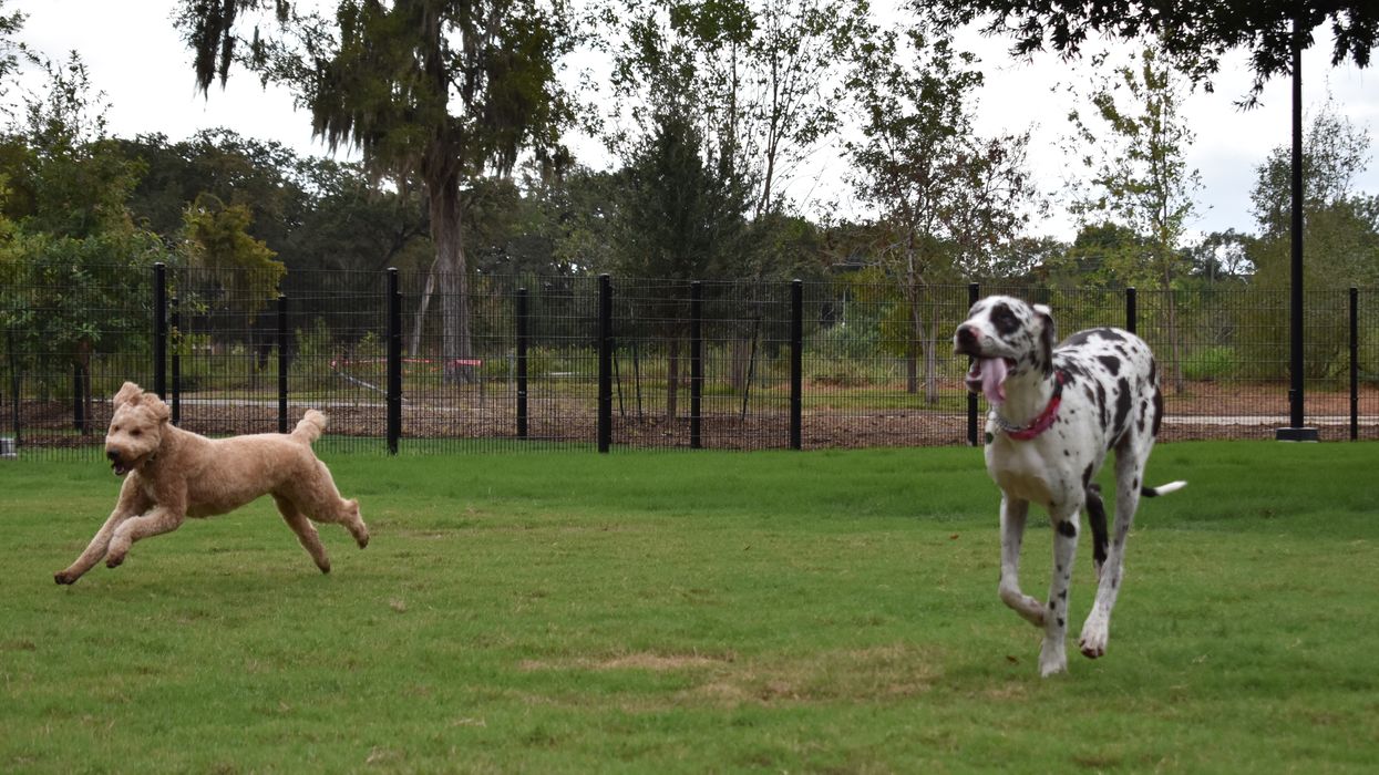 In First Phase of Multimillion-Dollar Overhaul, Hermann Park Conservancy Unleashes New Dog Park
