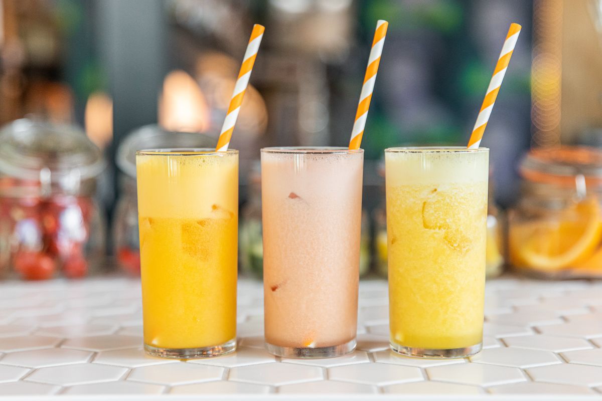 Citizens of Montrose Houston CityBook