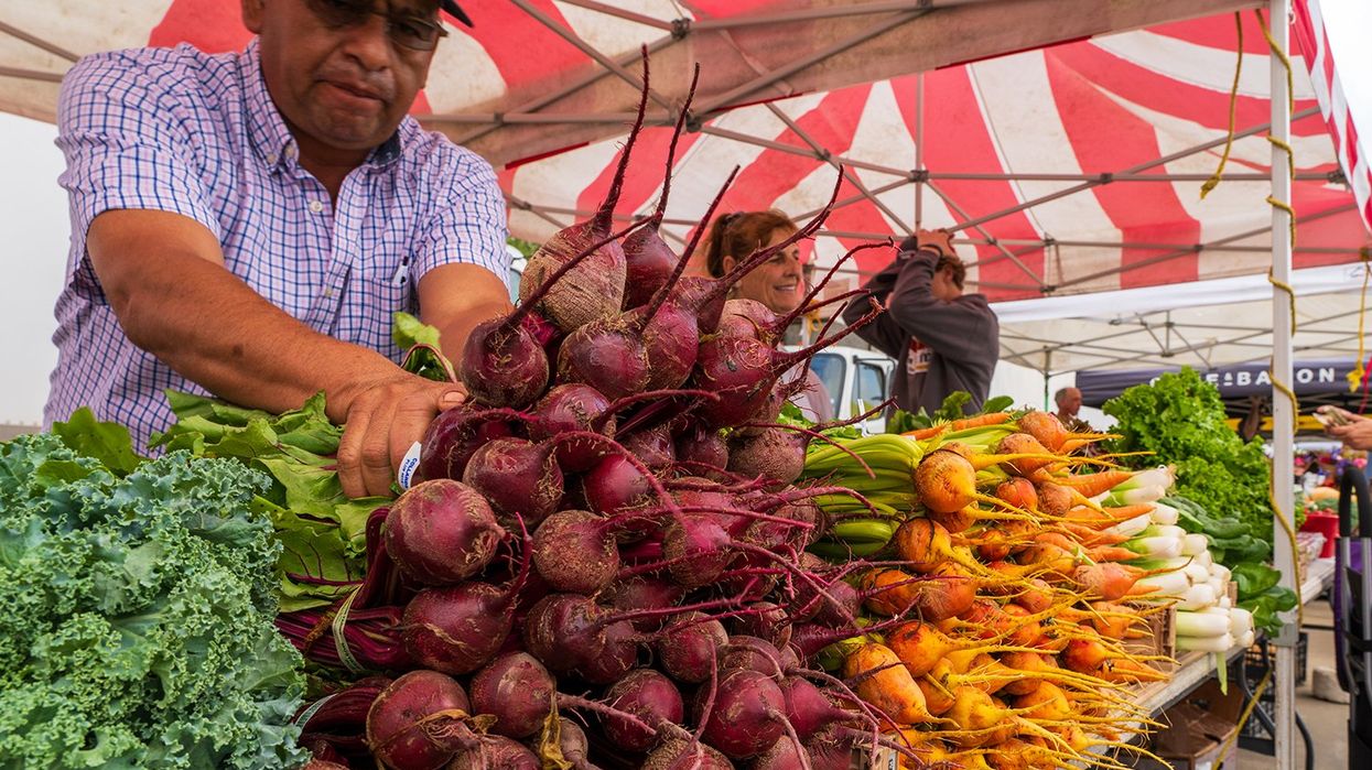 Fall Philanthropy Report: Urban Harvest Farmers Market Helps ‘Transform Food Accessibility’