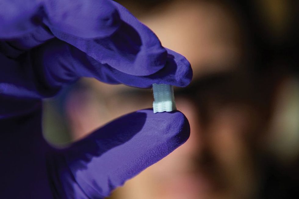 0401_SCAFFOLD-3-WEB-2mut9ez