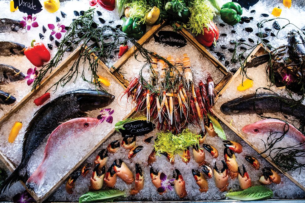 Fish Display
