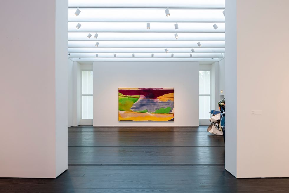 Installation view of Helen Frankenthaler, Hybrid Vigor, 1973. Photo by Paul Hester.