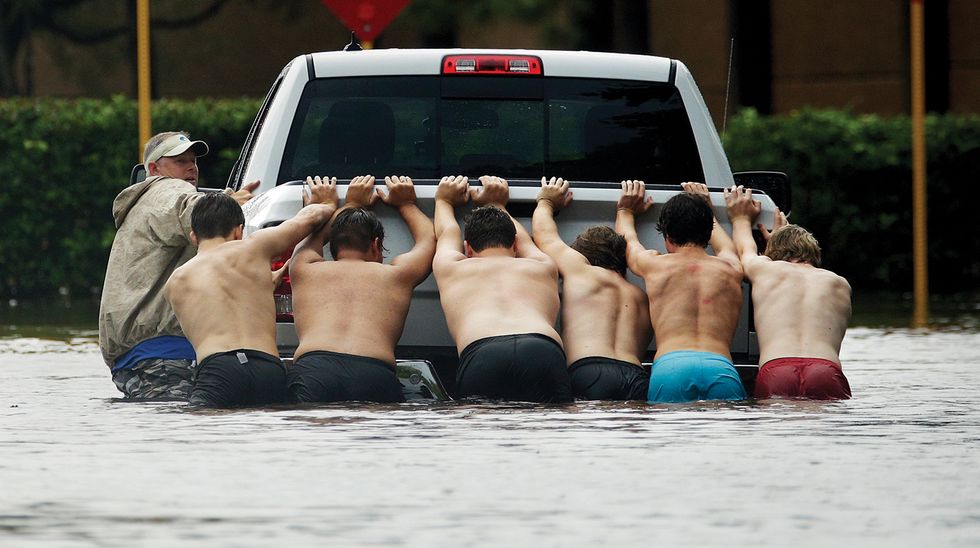 Harvey Racial Optics