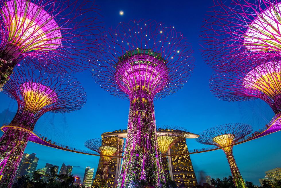 The Supertree at Gardens by the Bay