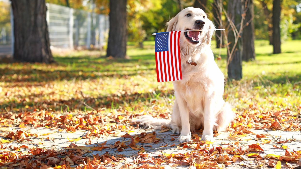 Local Nonprofit Is Making Sure Vets and Pets Are Well Taken Care Of