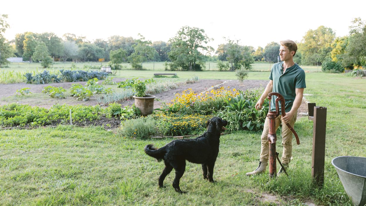 On the Grow: Sustainable Harvesters Finds Fertile Ground for a New Kind of Eco-Friendly Farming