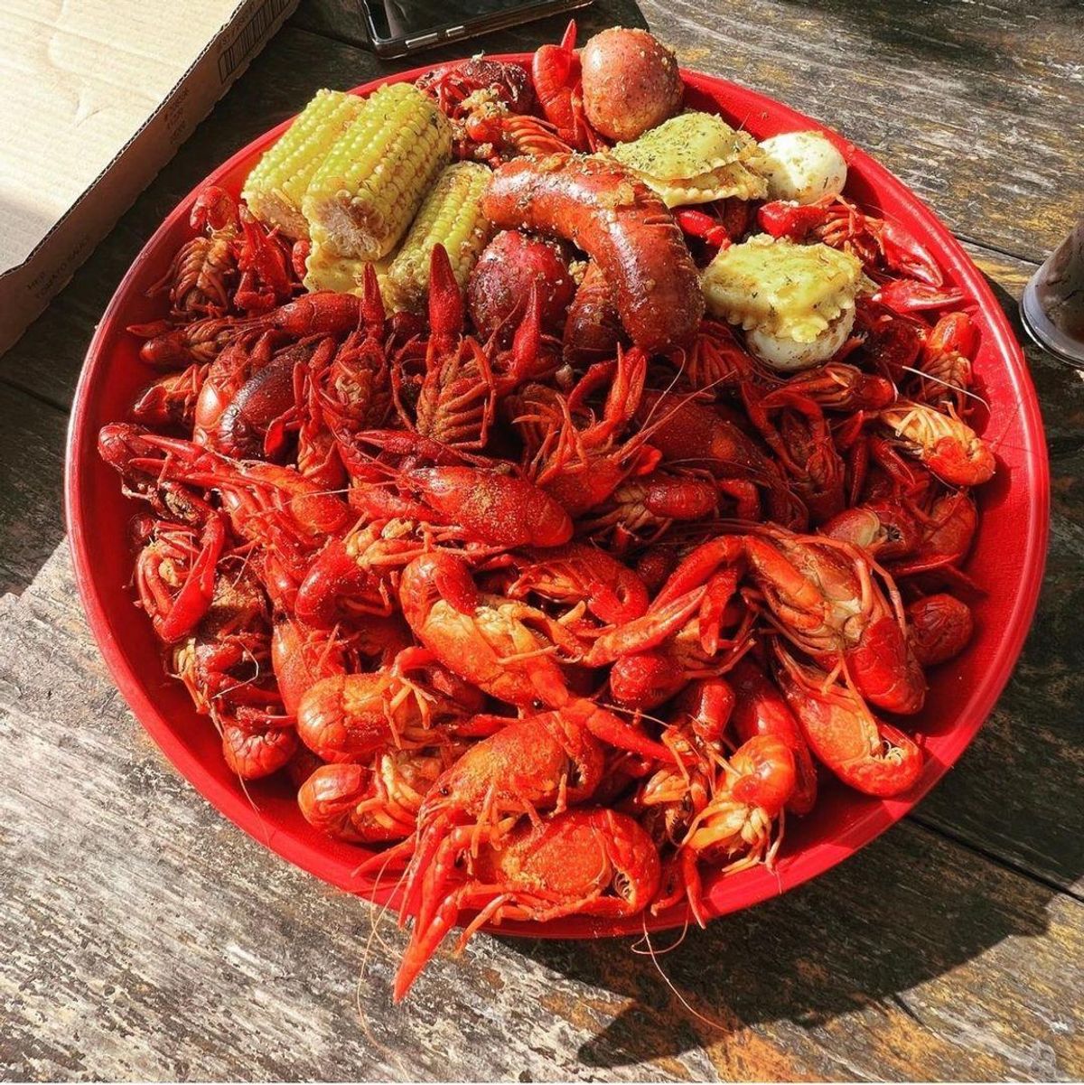 Bobcat Teddy's Icehouse Houston CityBook