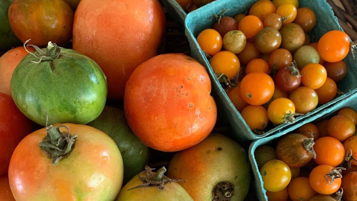 Tour Hope Farms — and its 40 Tomato Varietals — on June 1. Tastes Like Summer!