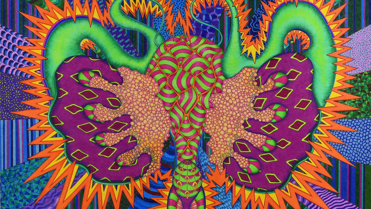 Amid Roe Ruling Controversy, a Houston Scientist-Artist Offers a Vivid, Psychedelic Perspective