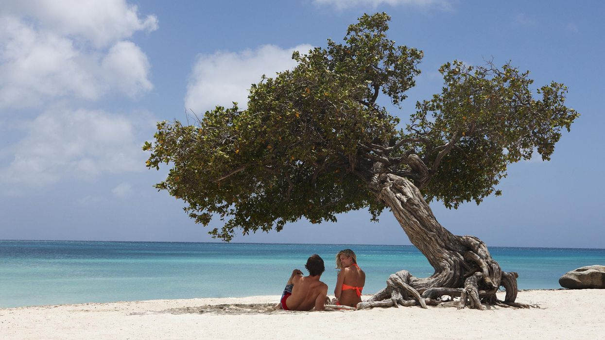 Its Beaches Are Divine — And So Are Aruba’s Food and Public-Art Scenes