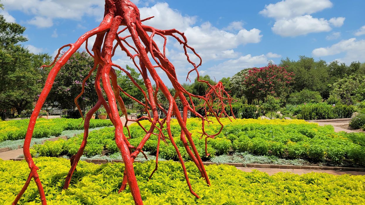 Sculptures At Houston Botanic Garden