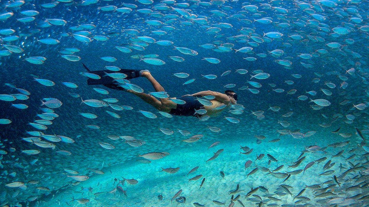 With Cliff Jumping, Salt Pyramids and Flocks of Flamingos, the Caribbean’s Bonaire a Hidden Gem