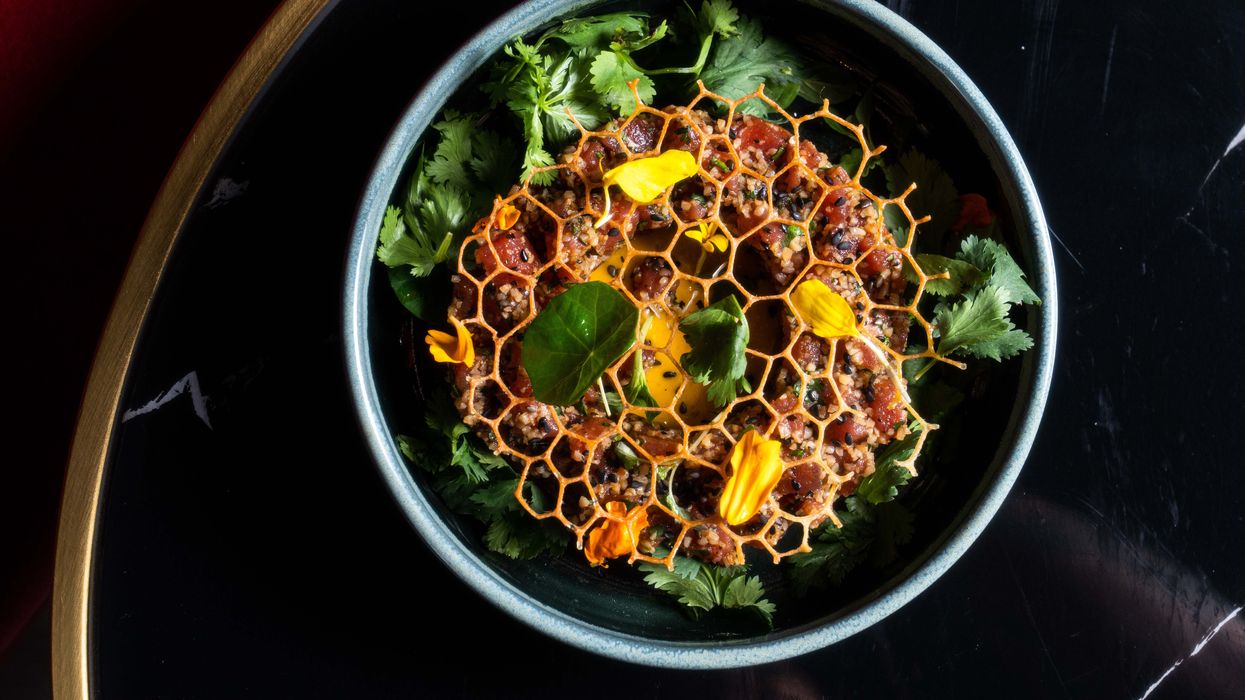 The Latest in a Wave of Vegas-Style Haunts, Albi Has Bold Menu to Match its Style