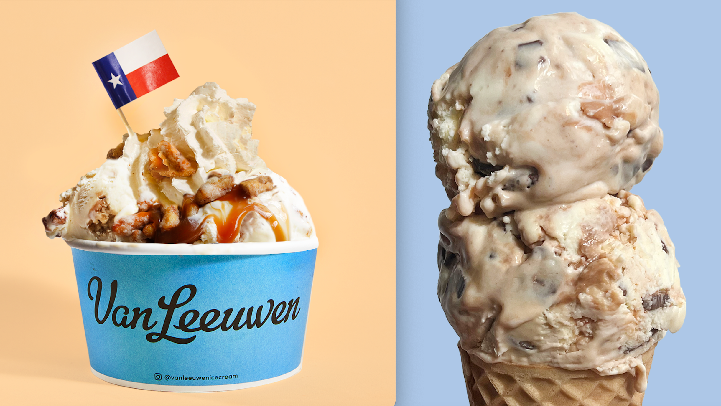 Ice Cream Van Leeuwen Ice Cream